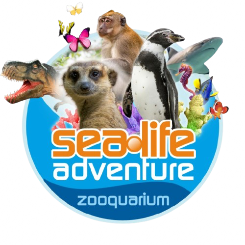 Sealife Adventure